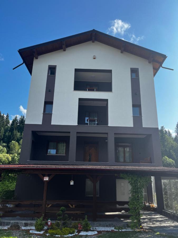 Cazare Luxandra Borsa  Exterior photo